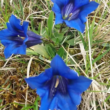 Apartment Im Pfaffenwinkel Weilheim in Oberbayern